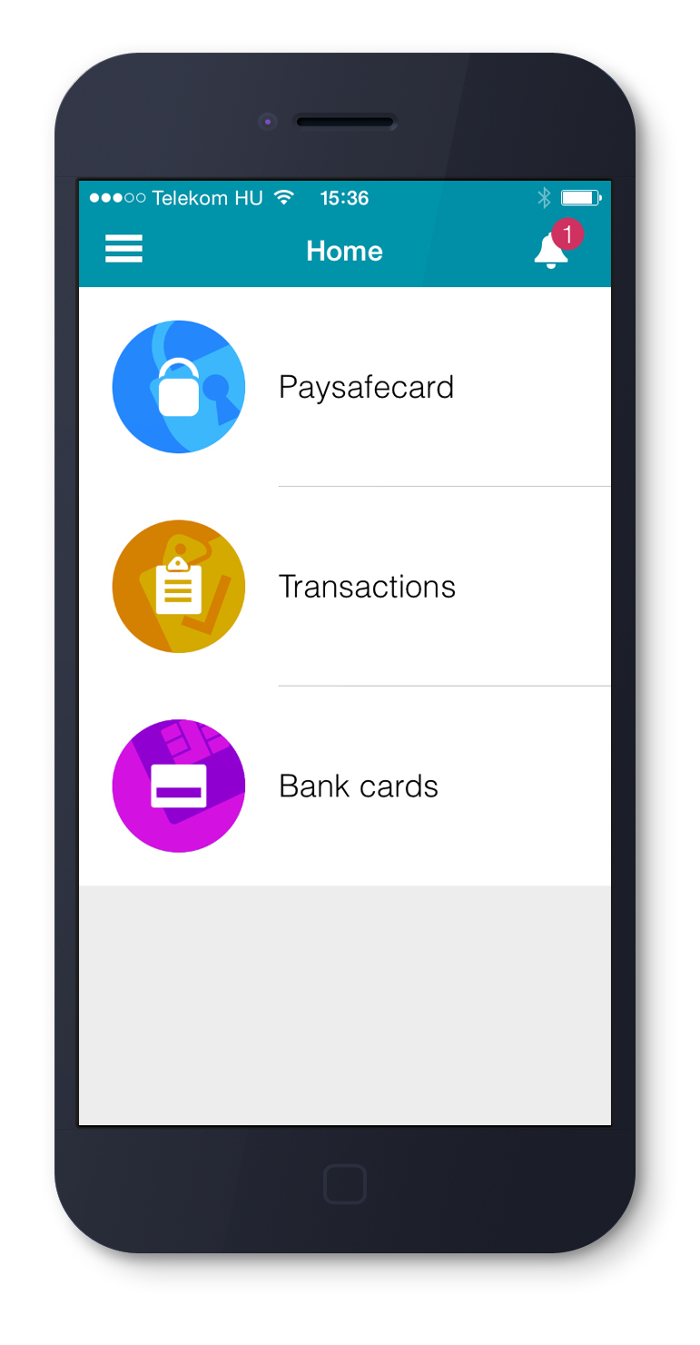 Pay-Station home screen on iOS